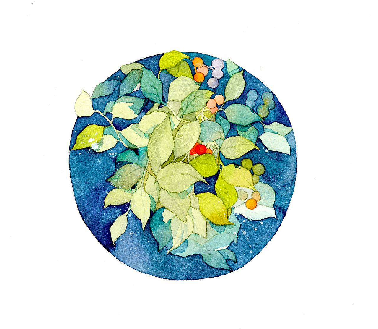 一组小清新风格植物插画