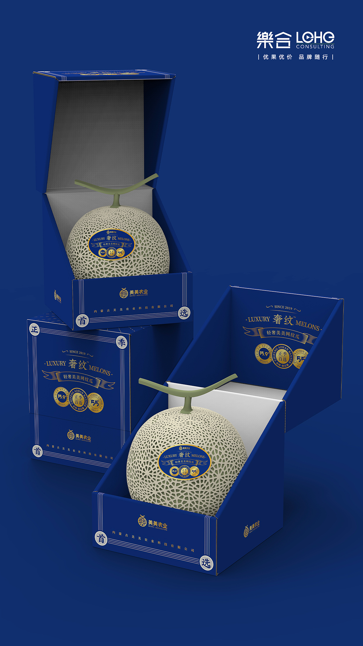 水果包装网纹瓜品牌包装手绘插画