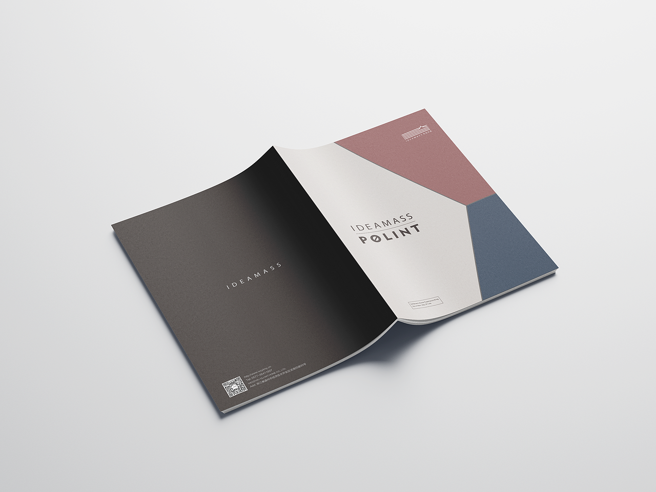 益立-IDEAMASS意得美嘉 POLINT产品画册