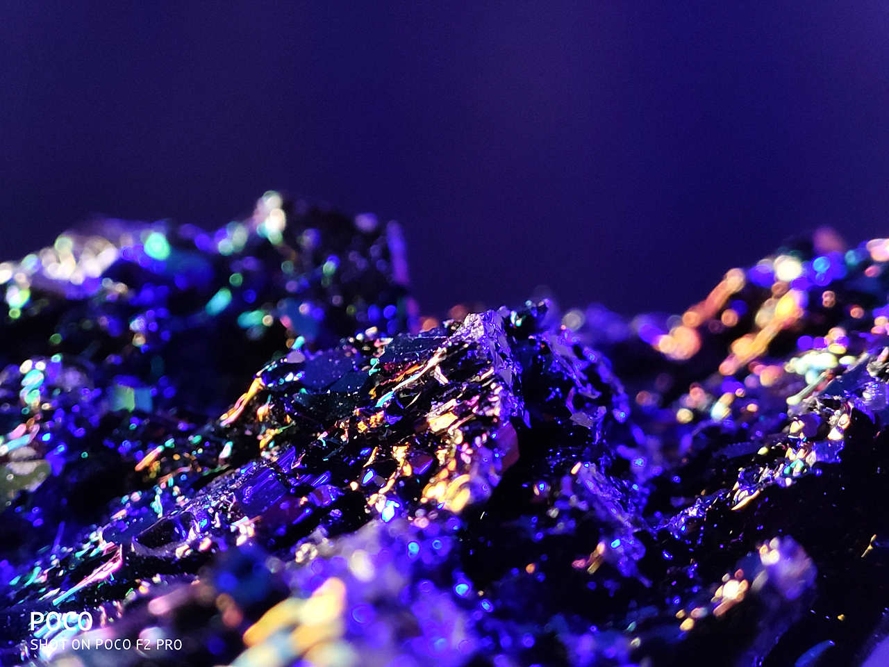 小米海外版 POCO系列官方样片 微距部分 2