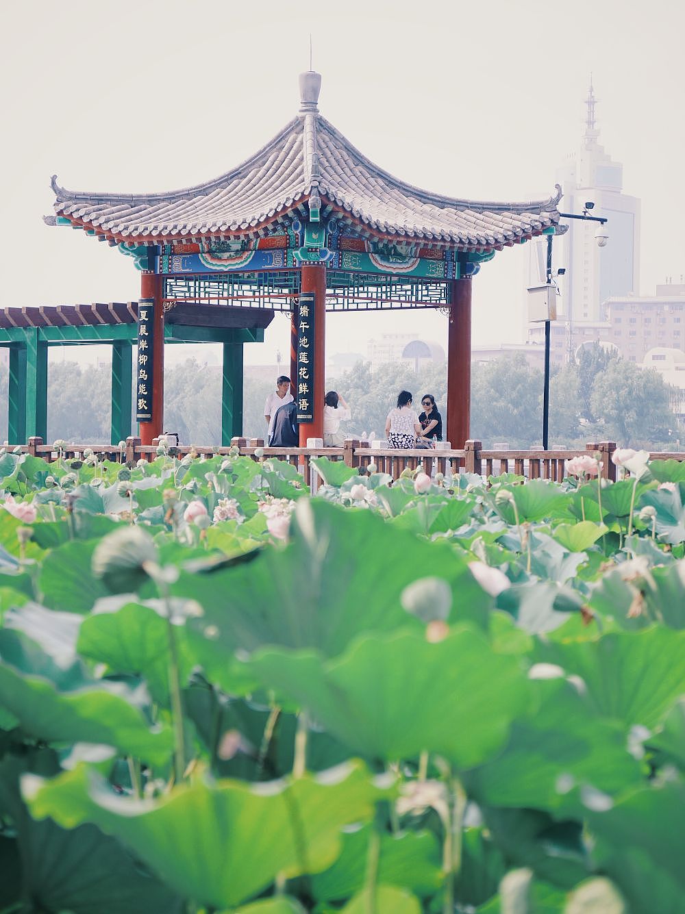 五台山泉打卡北京莲花池公园