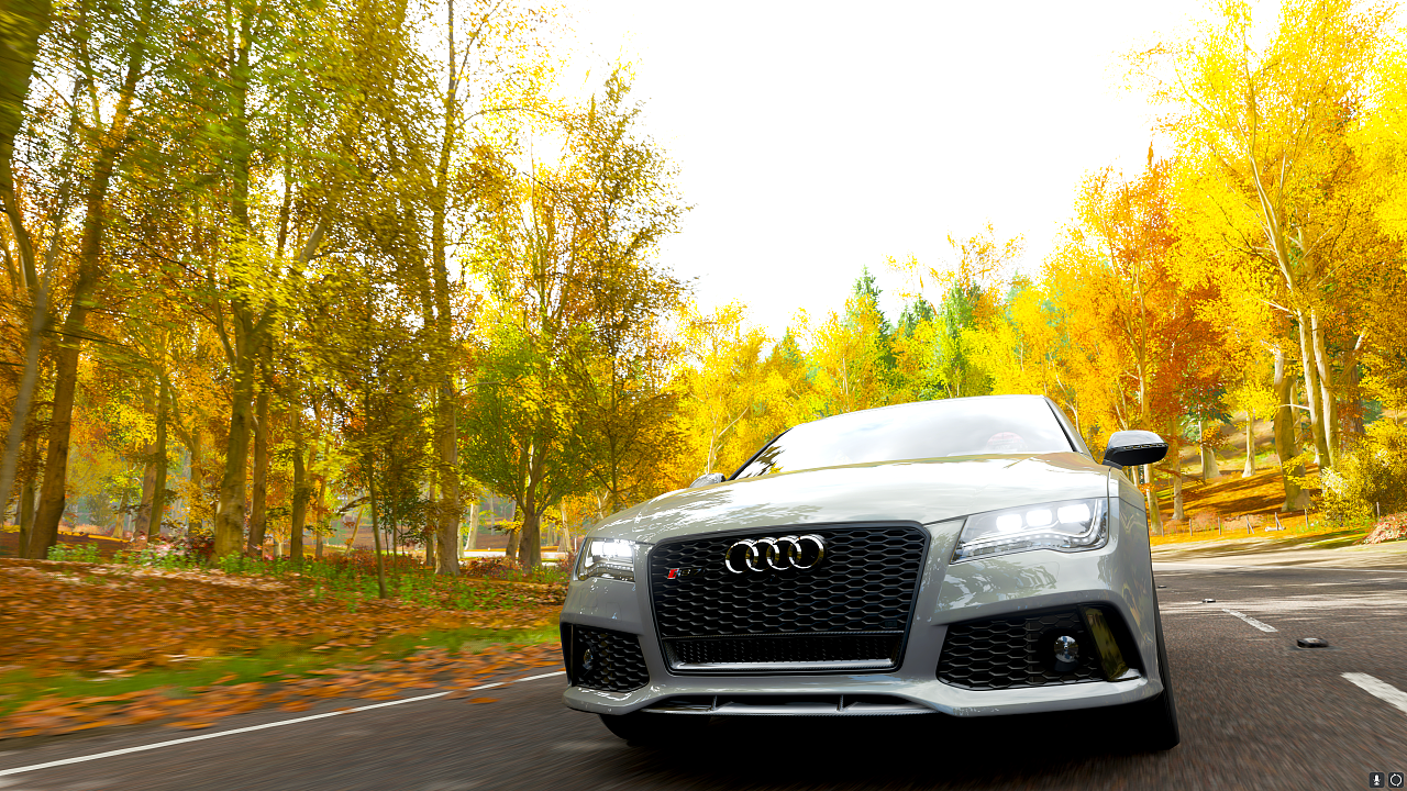 奥迪rs7 夸戳牌面