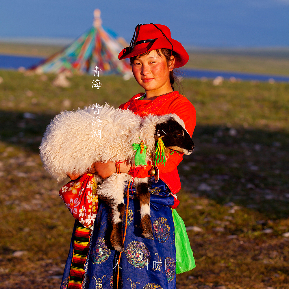 大暑   br>青海 青海湖 br>穿着传统藏裙抱着小羊羔的藏族女孩儿, br>