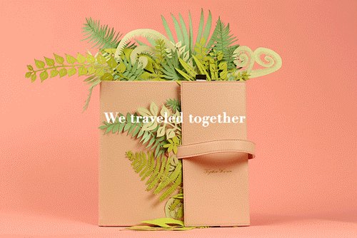 相册定格动画广告创意