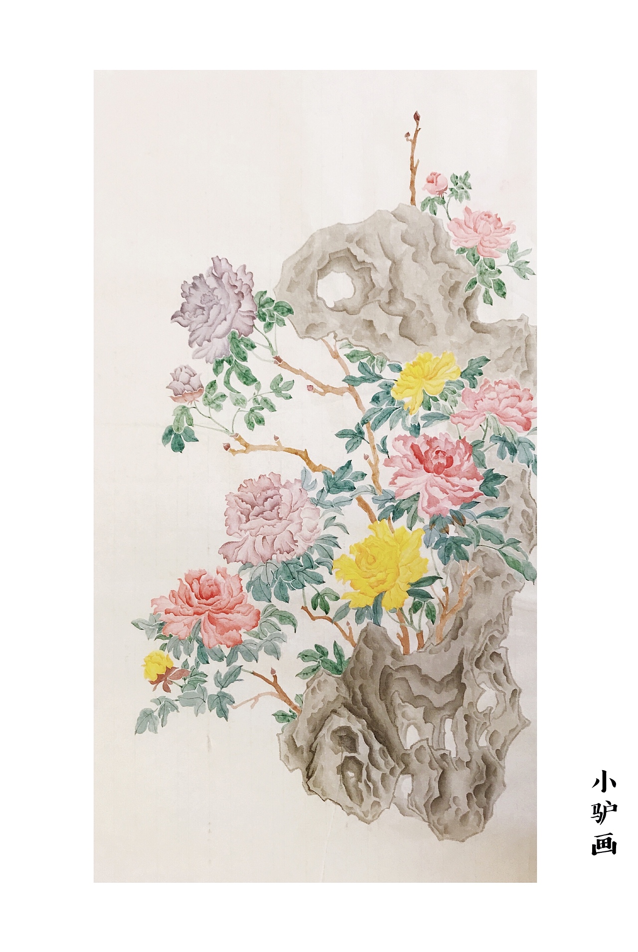 去年画牡丹，今年画石头（图ZMTI5NzQ5MTk2） - 绘画 - 站酷设计师阿尔的麦田原创素材 - 站酷ZCOOL