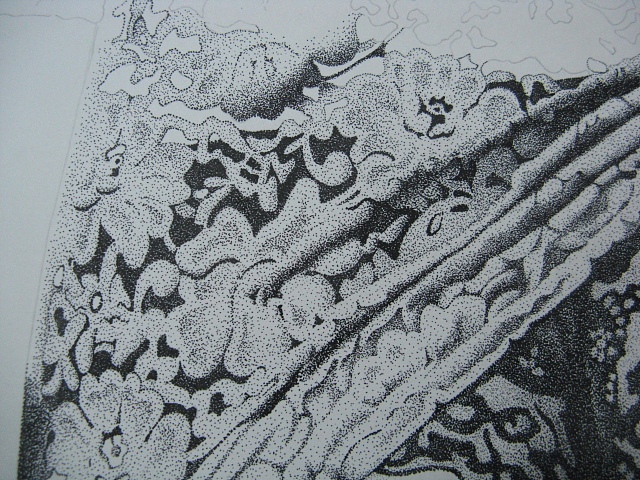 楚歌钢笔画-魅影（点画）55*40cm（图ZMTg5NTY2NDQ=） - 绘画 - 站酷设计师楚歌76原创素材 - 站酷ZCOOL