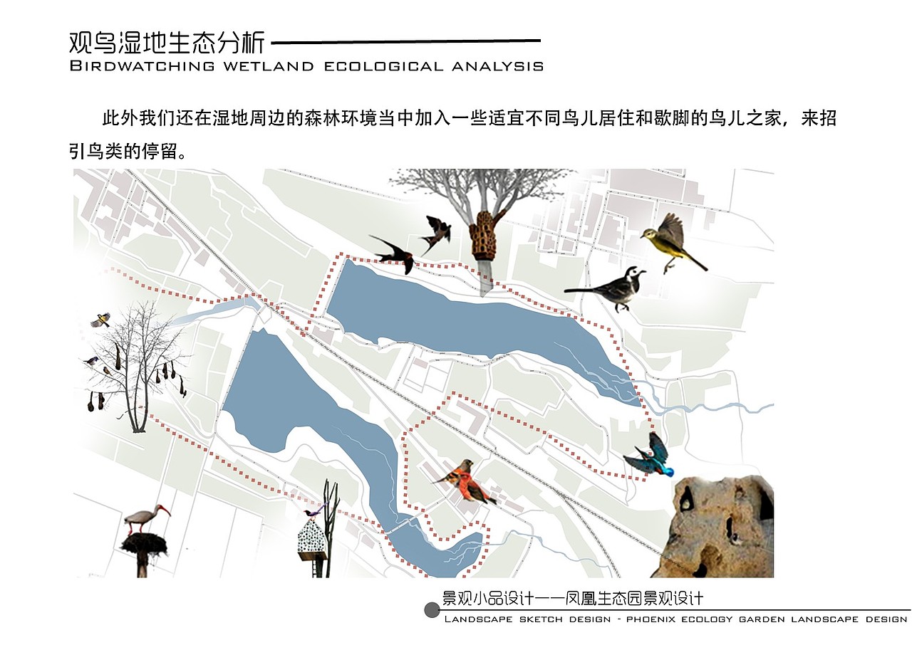 凤凰生态园景观设计（图ZNzg0NTU5NzI=） - 景观设计 - 站酷设计师调色板22原创素材 - 站酷ZCOOL