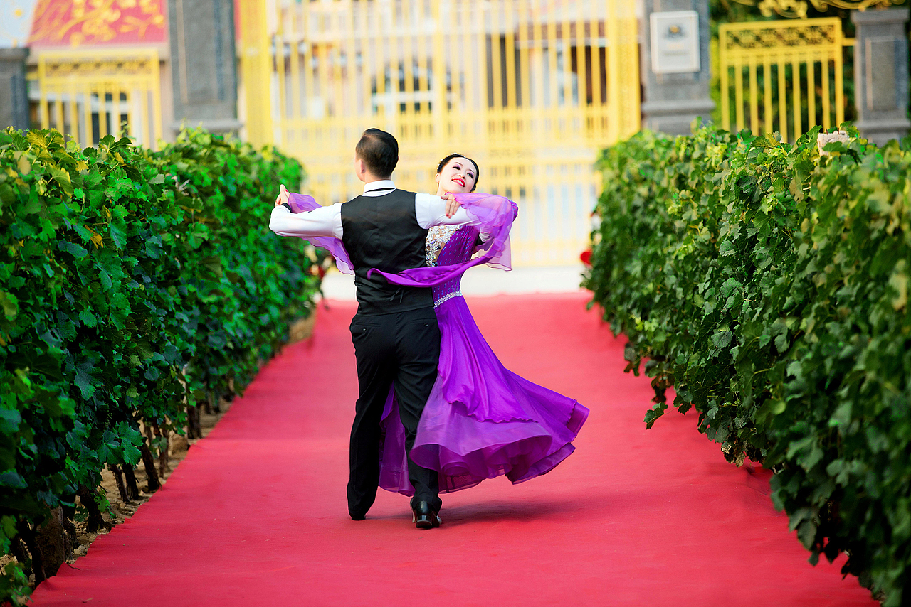 探戈,舞步华丽高雅,热烈狂放且变化无穷,交叉步,踢腿,跳跃,旋转.