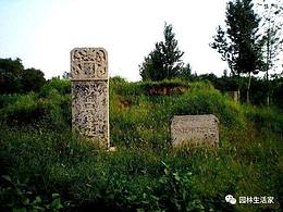 陳博士說(shuō)園林｜“沙丘苑臺(tái)”——史料記載最早的貴族園林（上）