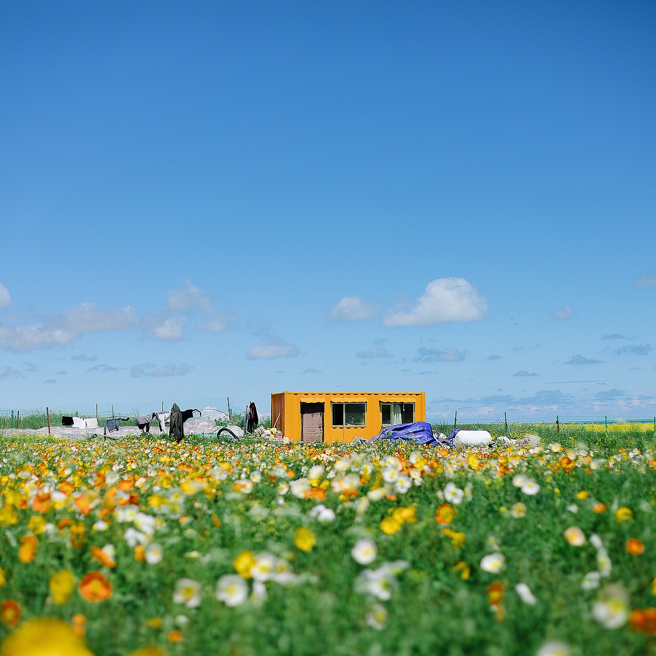 青海湖边（图ZMjE2NzE2OTg0） - 风光摄影 - 站酷设计师再见陈生原创素材 - 站酷ZCOOL