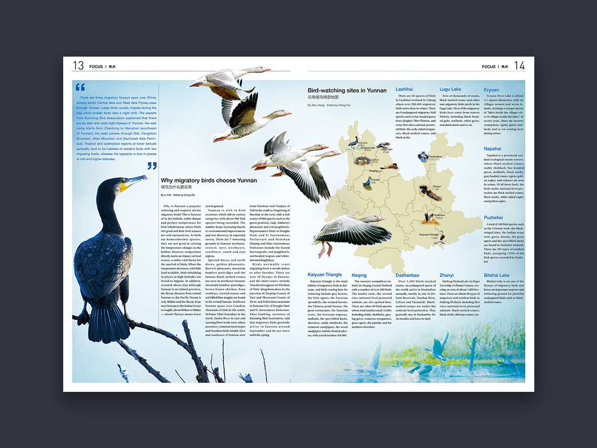 刊物杂志排版设计