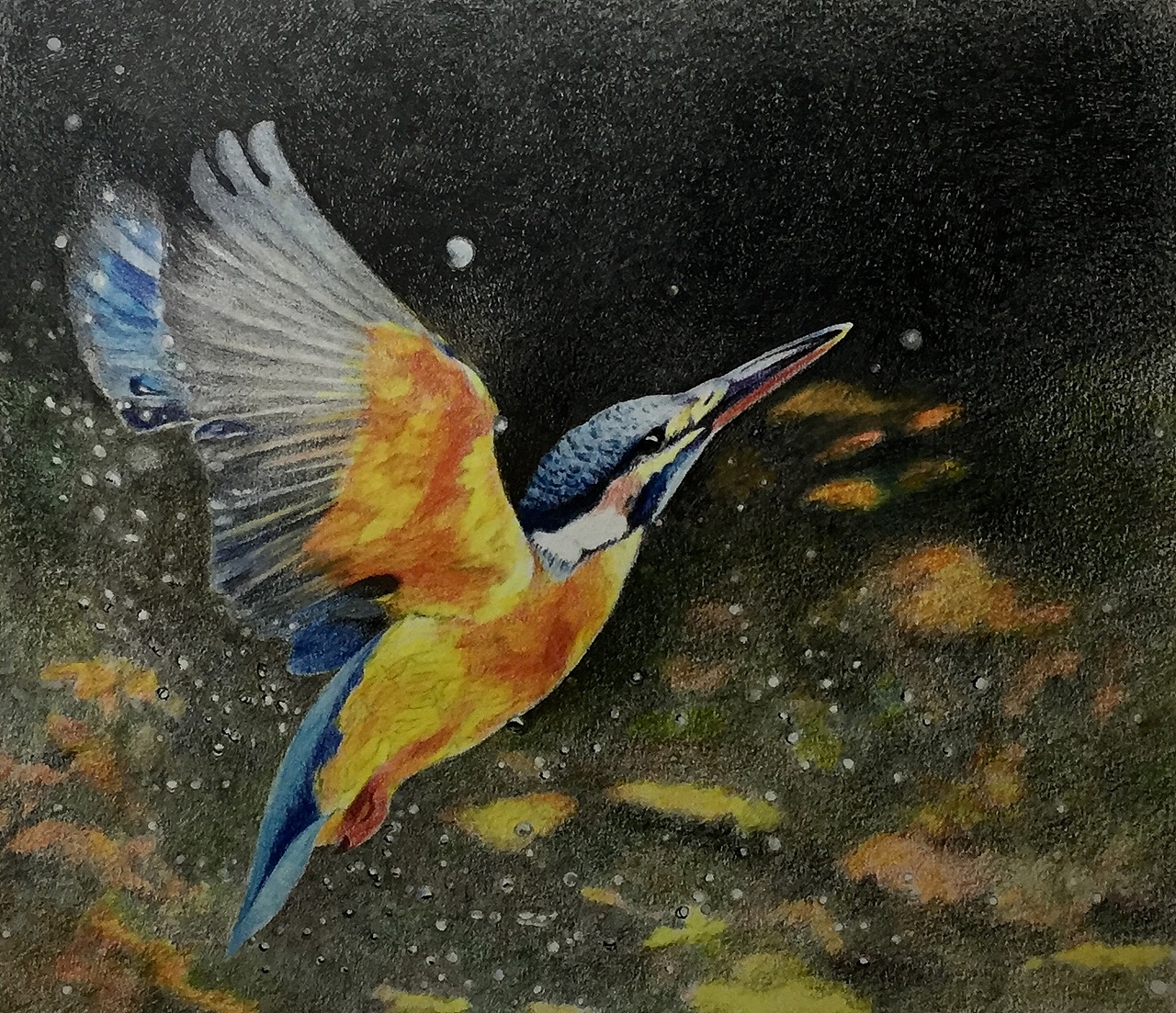 《展翅高飞》|纯艺术|绘画|nzlarry_原创作品-站酷zcool