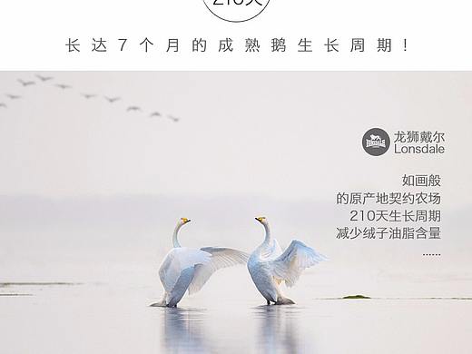 羽绒服详情页（个人主页-ZMjcyNzQwNjQ=） - 其他平面 - 站酷设计师Allen点原创素材 - 站酷ZCOOL