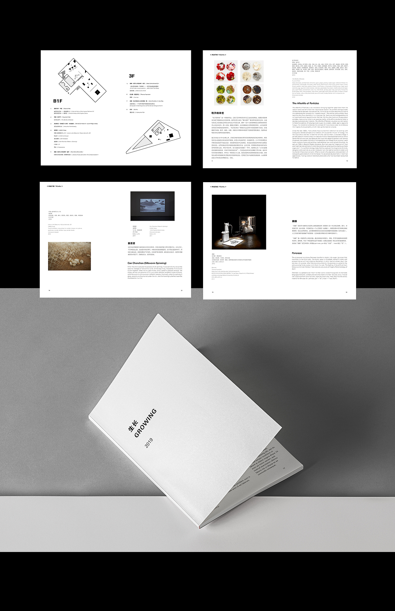 知美术馆 | 2019“生长”展-视觉物料