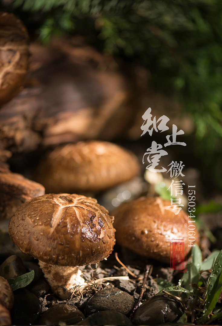 太原美食摄影电商食品拍照外卖菜品拍摄菜谱设计制作（图ZMTE1MDQ2NjQ4） - 产品摄影 - 站酷设计师知止堂原创素材 - 站酷ZCOOL