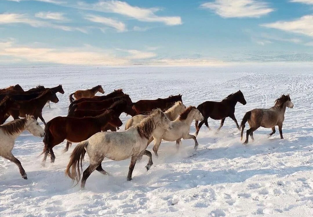 酒類包裝設(shè)計(jì)的個(gè)人主頁（封面預(yù)覽） - 主頁封面設(shè)置 - 站酷設(shè)計(jì)師酒類包裝設(shè)計(jì)原創(chuàng)素材 - 站酷ZCOOL