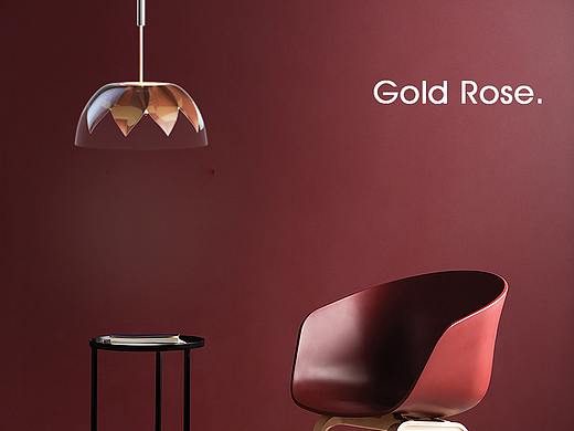 Gold Rose.主题系列化灯具设计