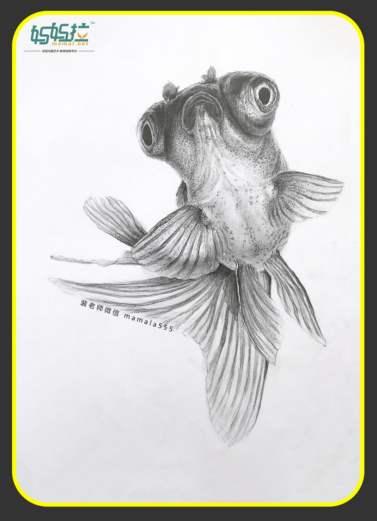 鱼|纯艺术|绘画|DrDoom - 原创作品 - 站酷 (ZCOOL)