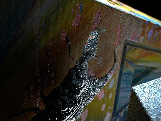 虫——静物渲染