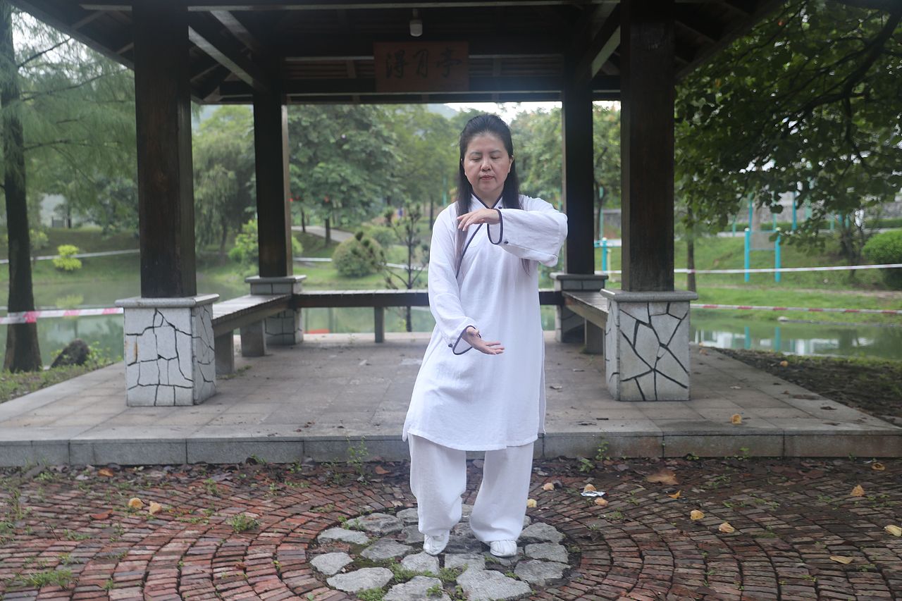 武当道致·理淳