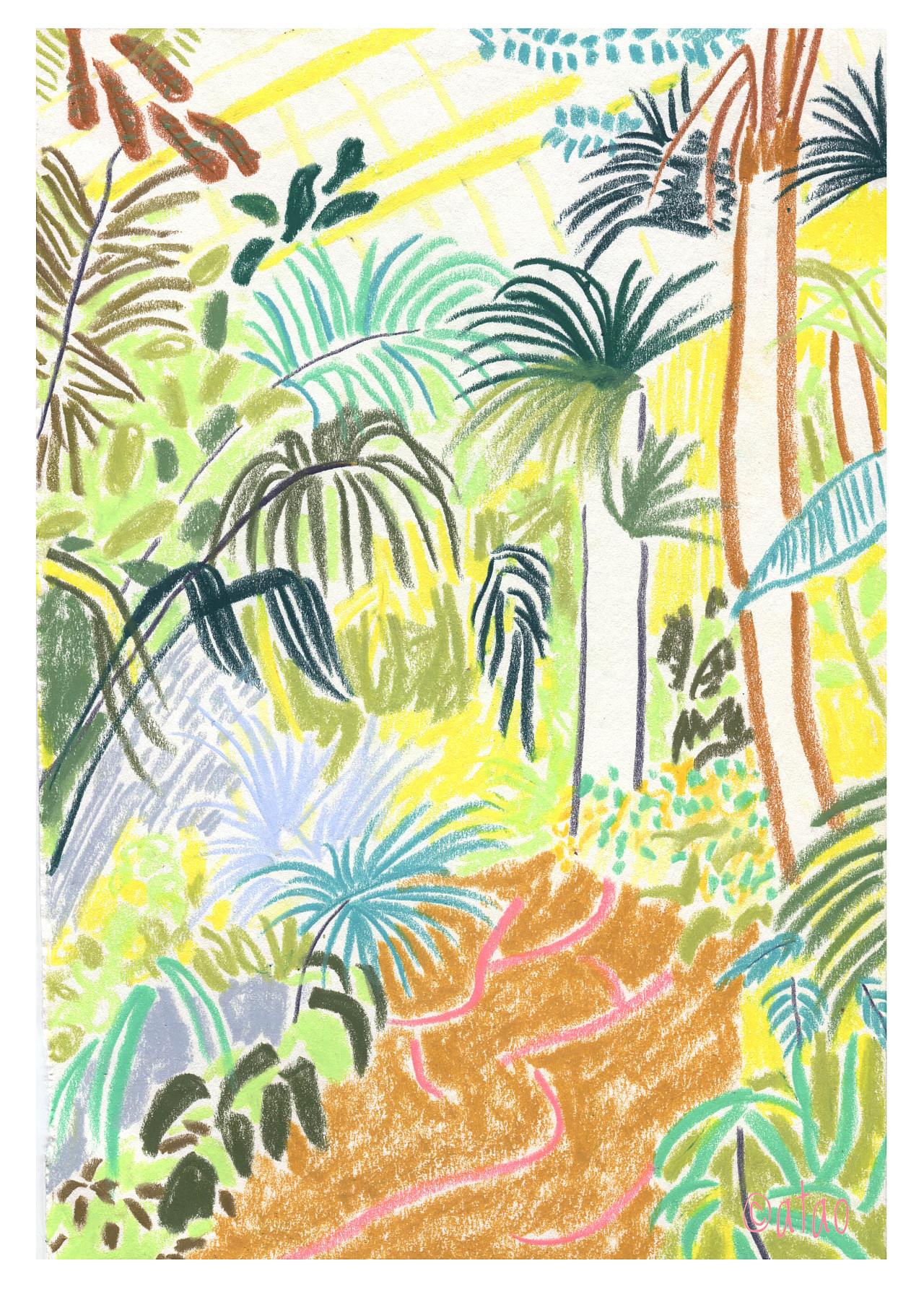 热带雨林图片手绘简单图片