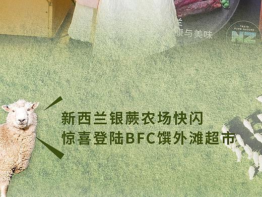 银蕨微信公众号长图设计
