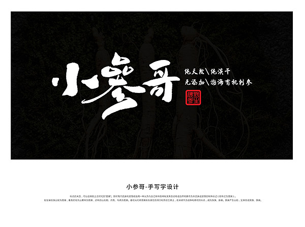 字生造字——手书 毛笔字体LOGO 商业案例（图ZMTg3NzYzOTky） - 字体/字形 - 站酷设计师字生造字原创素材 - 站酷ZCOOL