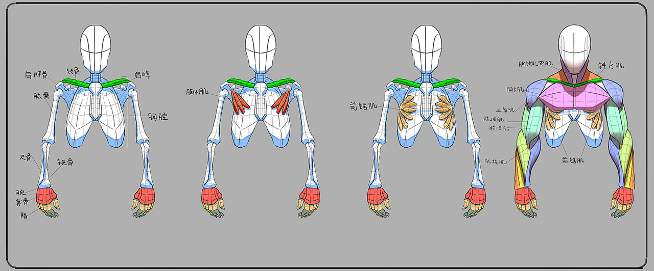 人体练习（图ZMTYzMTA2Mzc2） - 其他 - 站酷设计师战神3原创素材 - 站酷ZCOOL