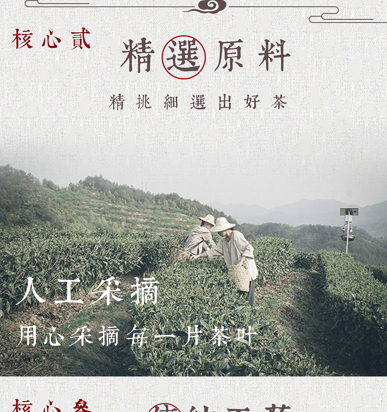 茶叶详情页（图ZMTkyNzY4ODA0） - 宣传物料 - 站酷设计师Yinnt原创素材 - 站酷ZCOOL