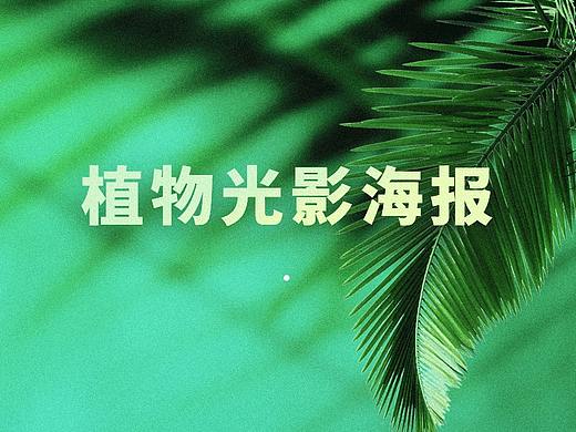 清凉风夏季植物光影海报