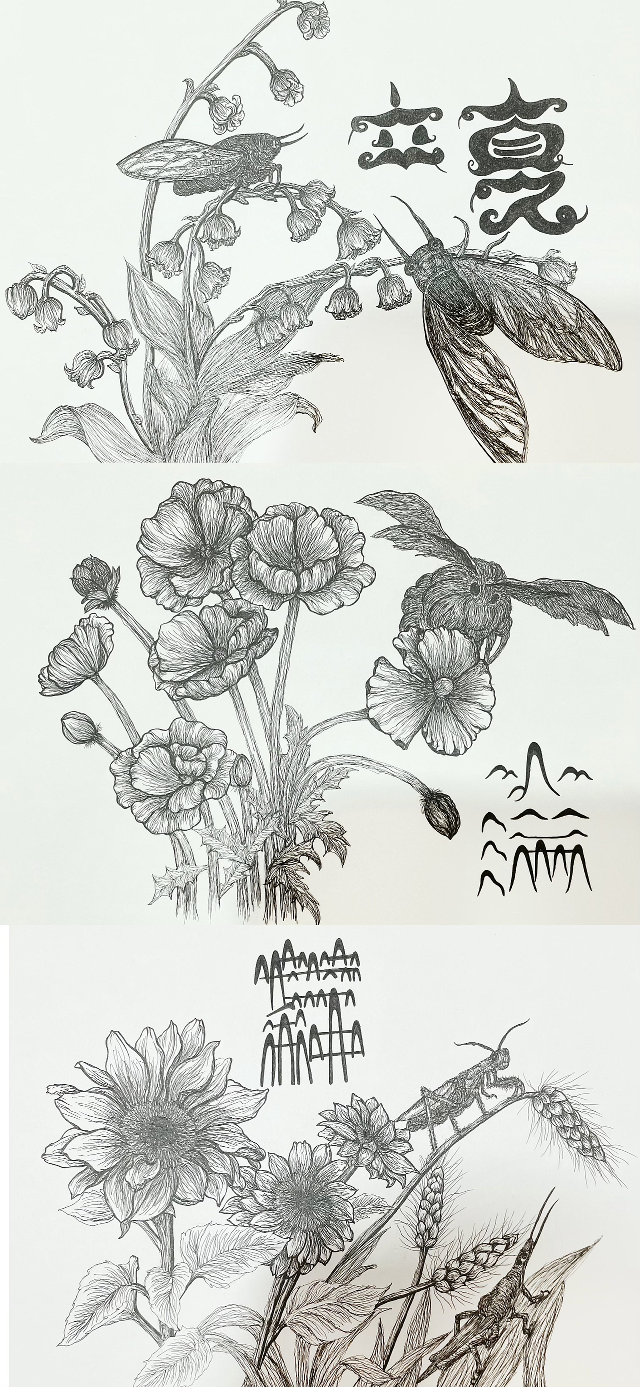 二十四节气花谱和环境来展现节气的特点（图ZMzcxNDIyMDA0） - 商业插画 - 站酷设计师如晤原创素材 - 站酷ZCOOL