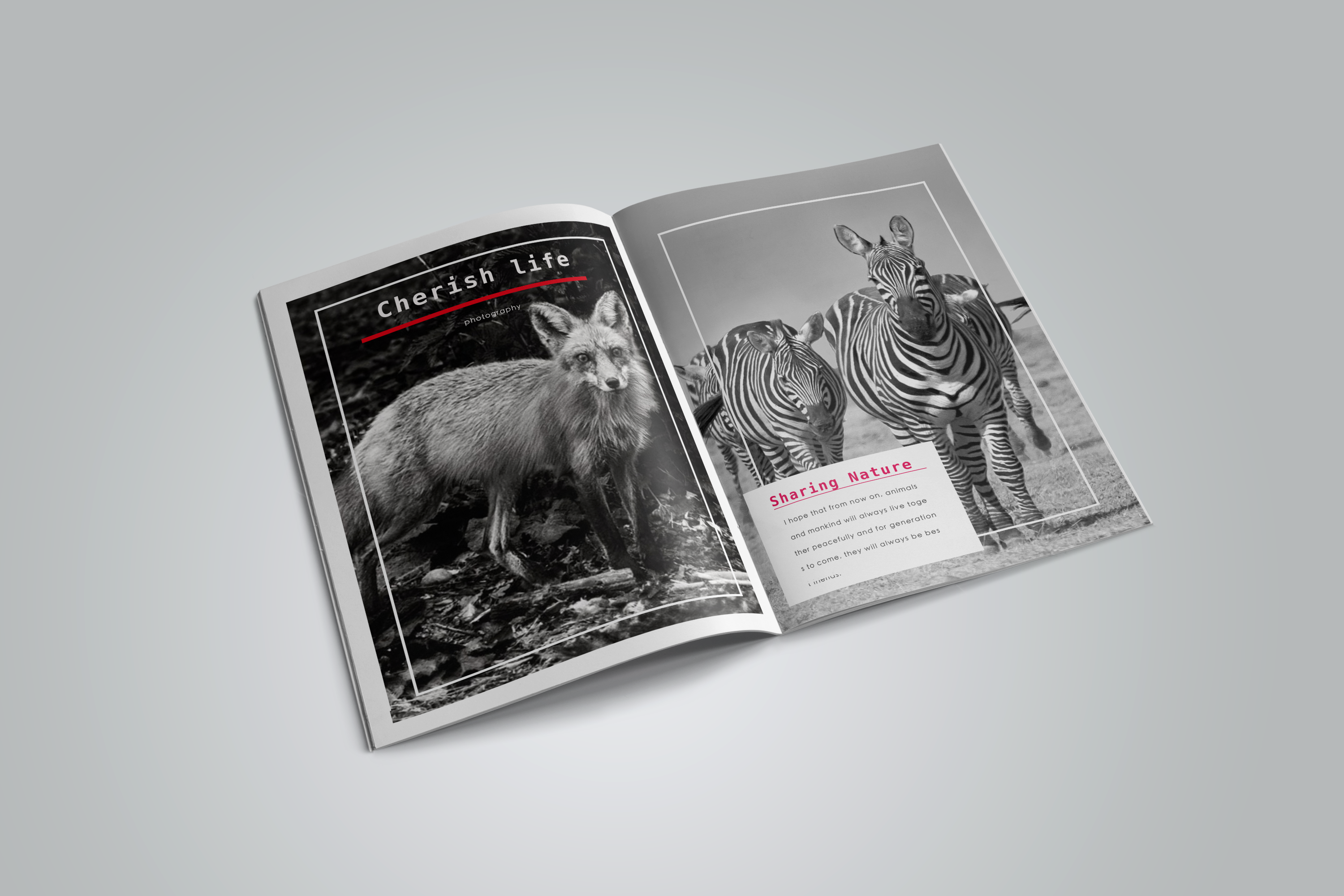 摄影宣传册画册——公益保护野生动物