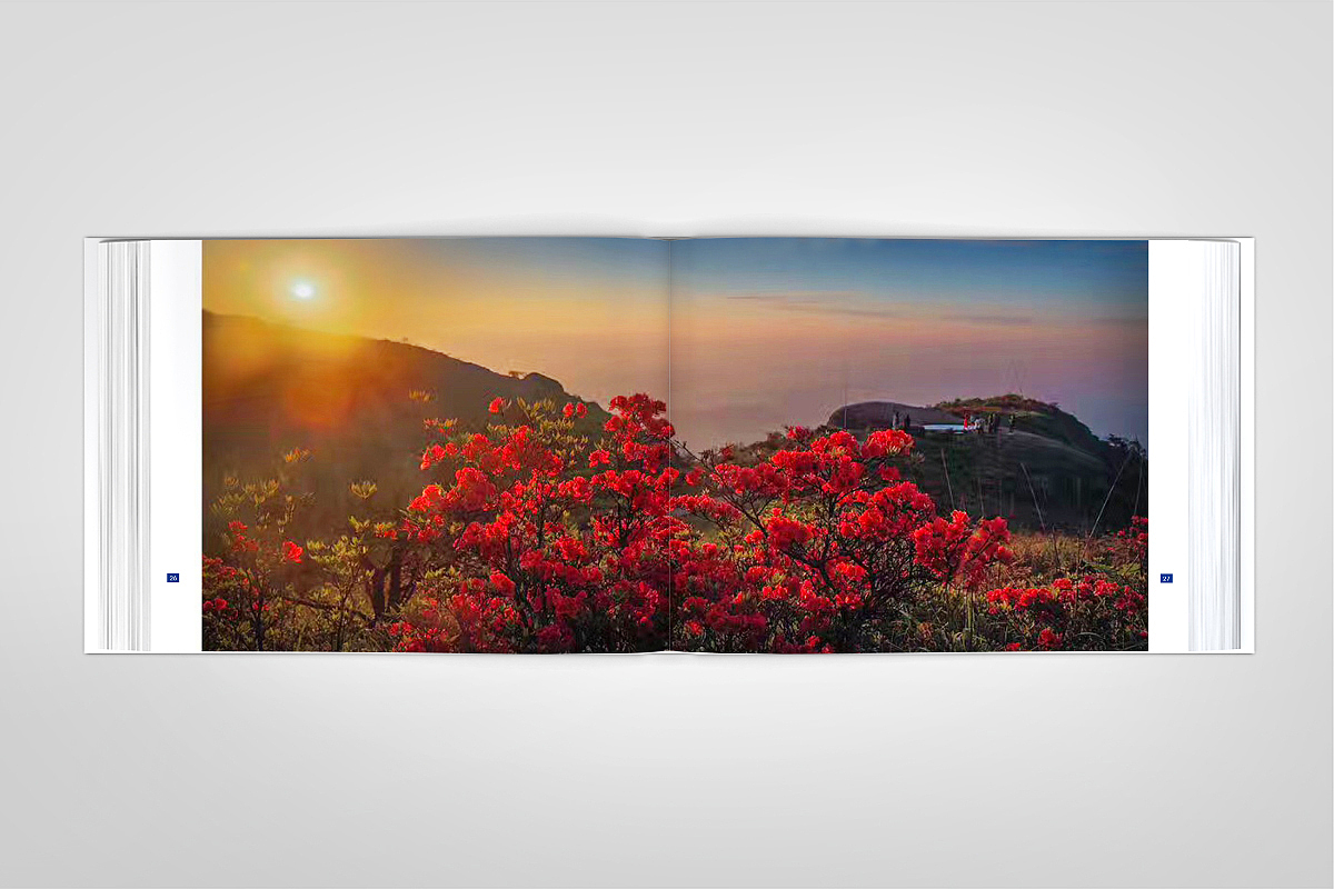 清新花香·福源建宁-精装画册-源艺设计