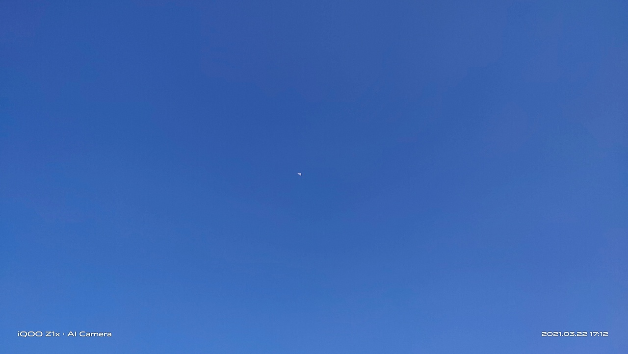 那年花好月正圆