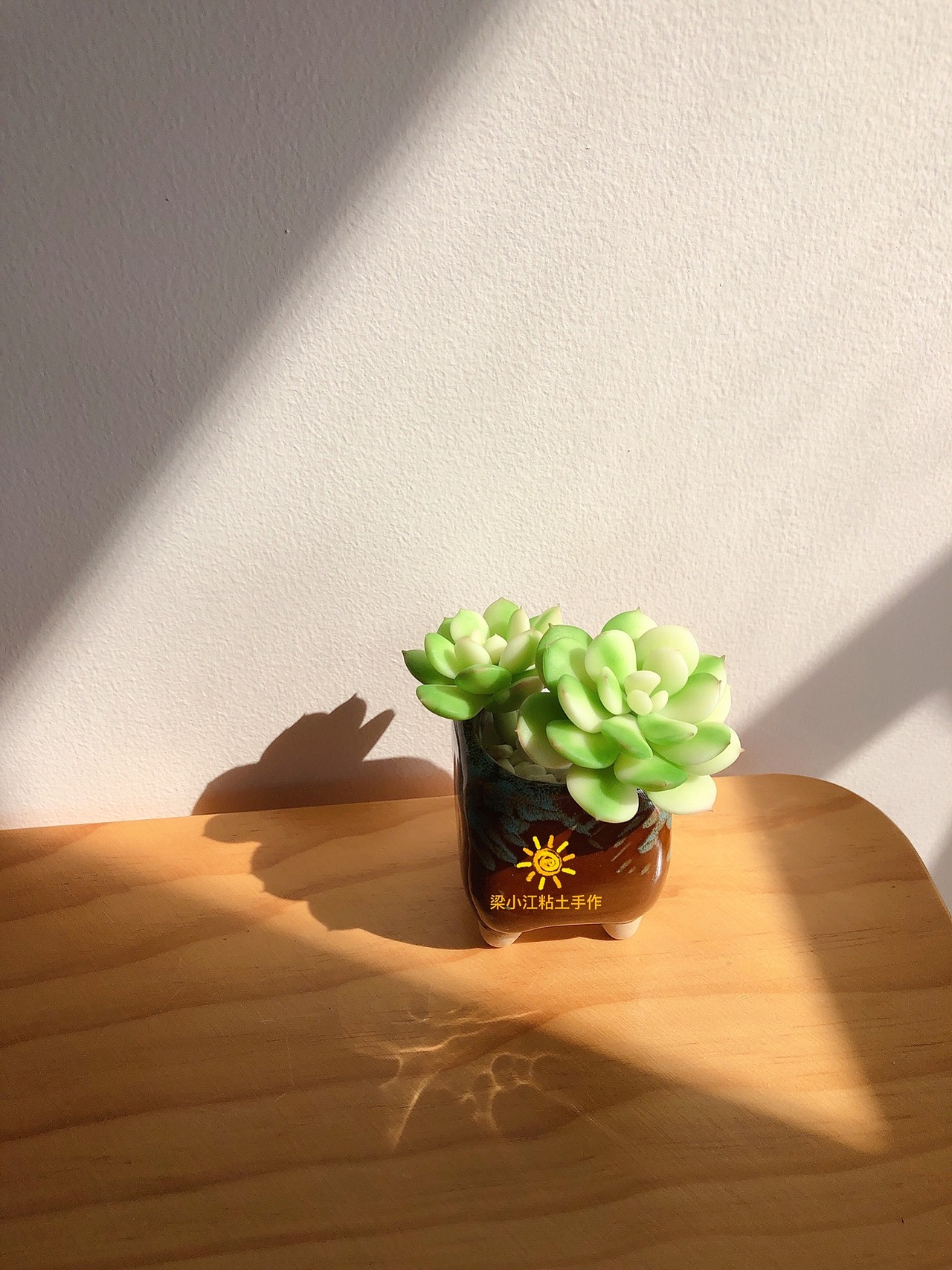 粘土多肉—妮可莎娜锦（图ZMjQyMzE4NTQ0） - 其他手工艺 - 站酷设计师梁小江粘土手作原创素材 - 站酷ZCOOL