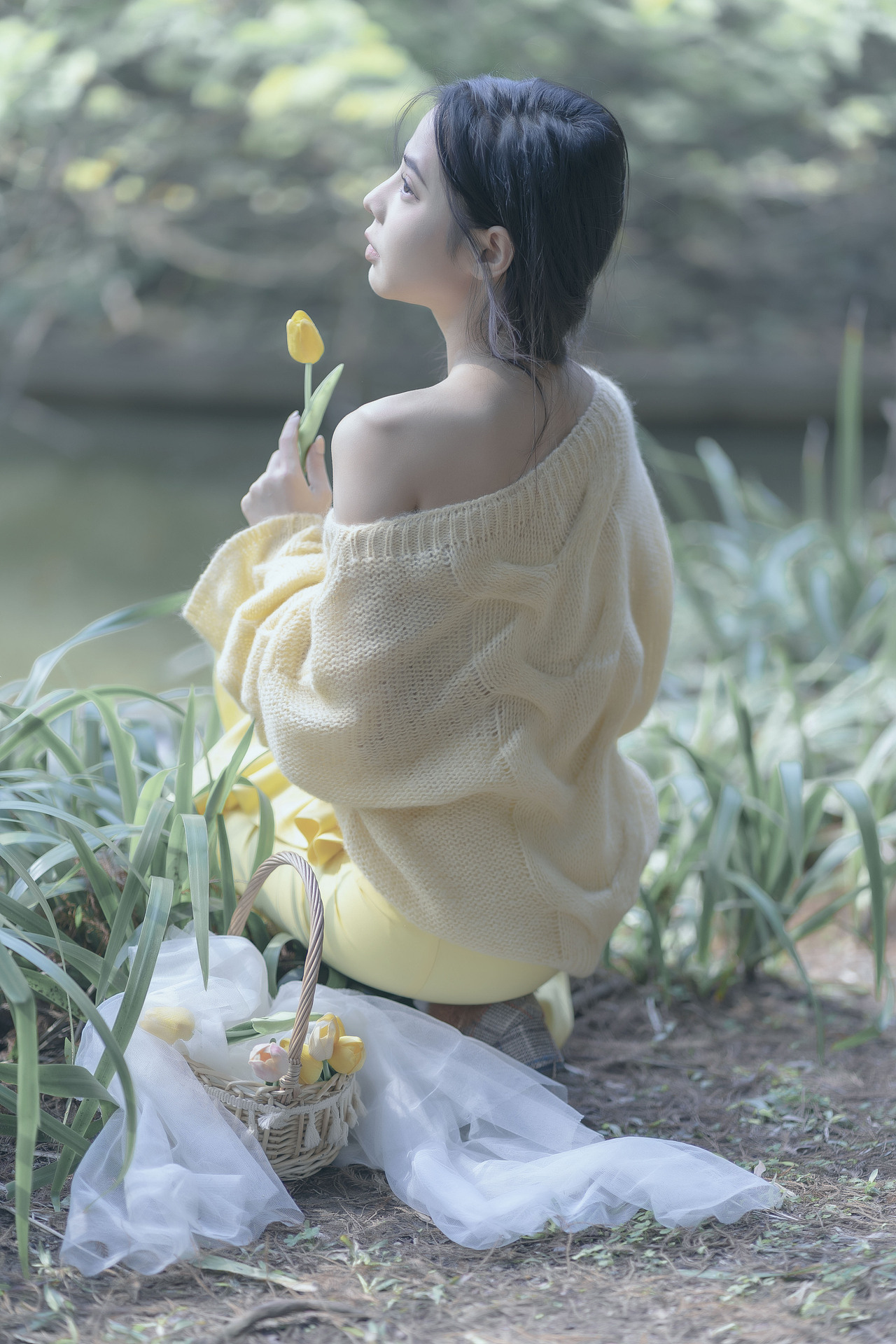 树林发现可爱精灵