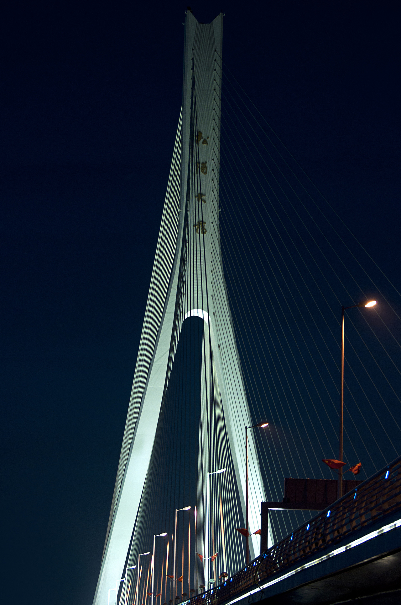 哈尔滨松浦大桥夜景