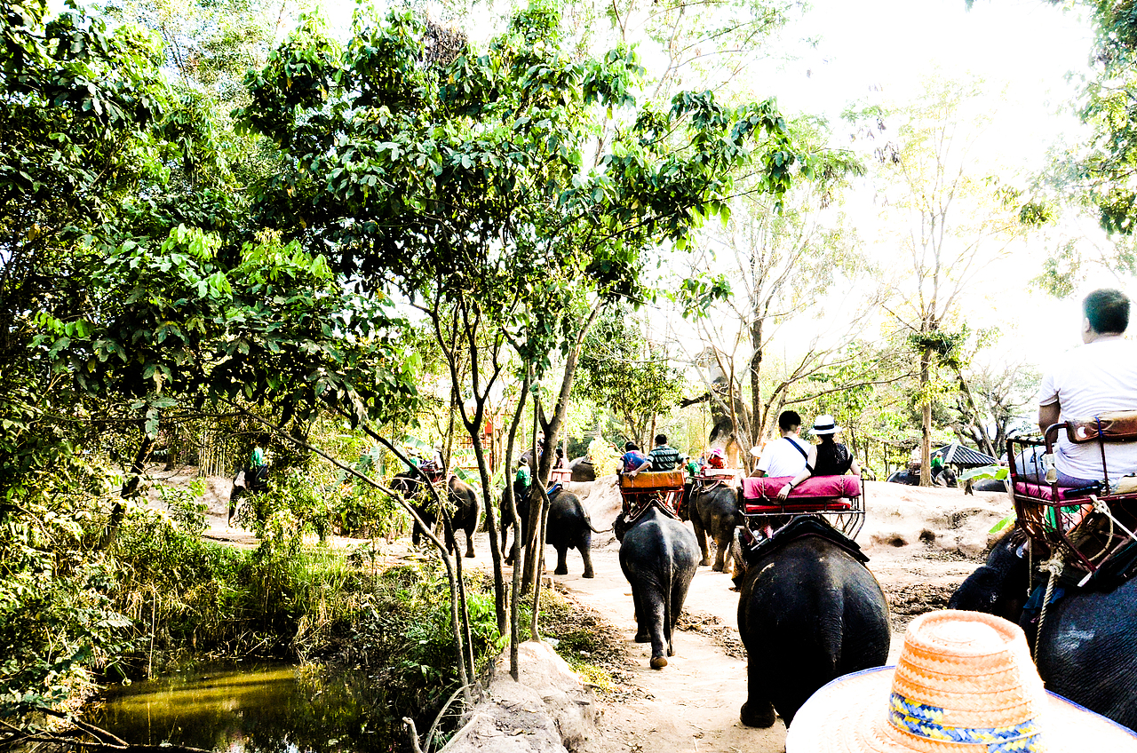 北方的姑娘 请不要再留恋南方的迷惘（图ZNTM4ODc0ODQ=） - 风光摄影 - 站酷设计师Design Sun原创素材 - 站酷ZCOOL