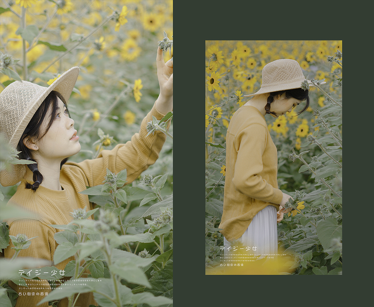 如果我们重逢在春天里