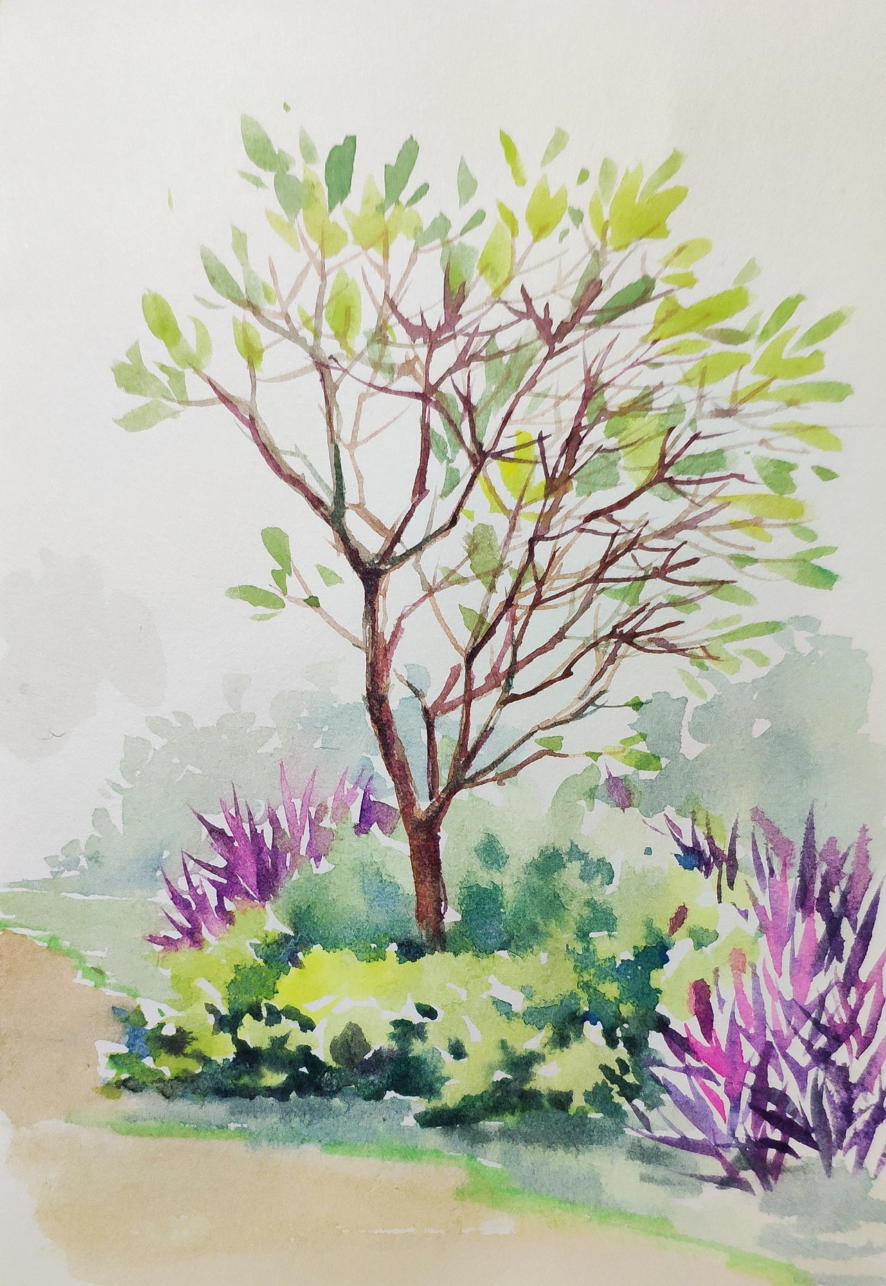 小区里的小景|插画|艺术插画|hot_linda_原创作品-站酷(zcool)