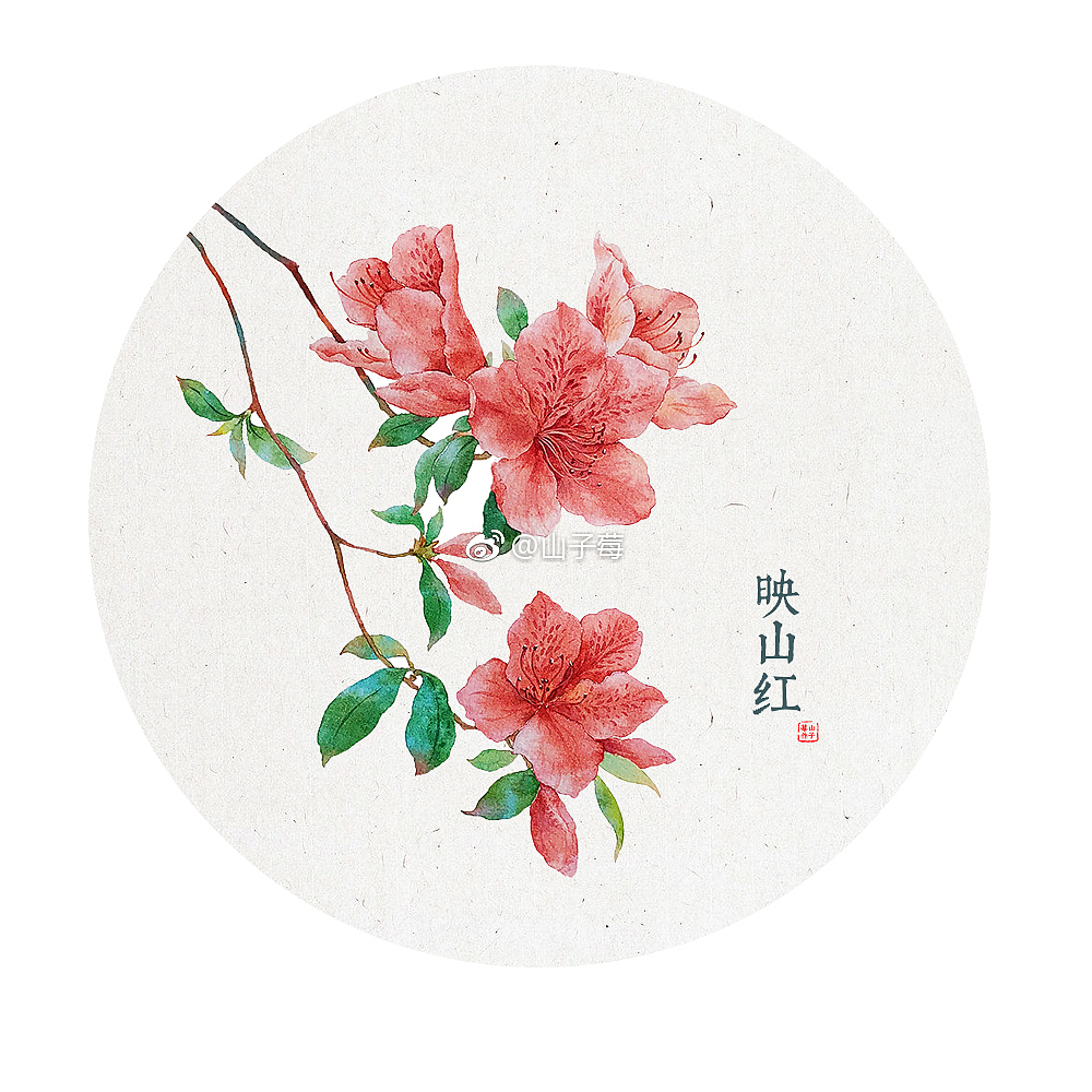 手绘 水彩植物 水彩花卉