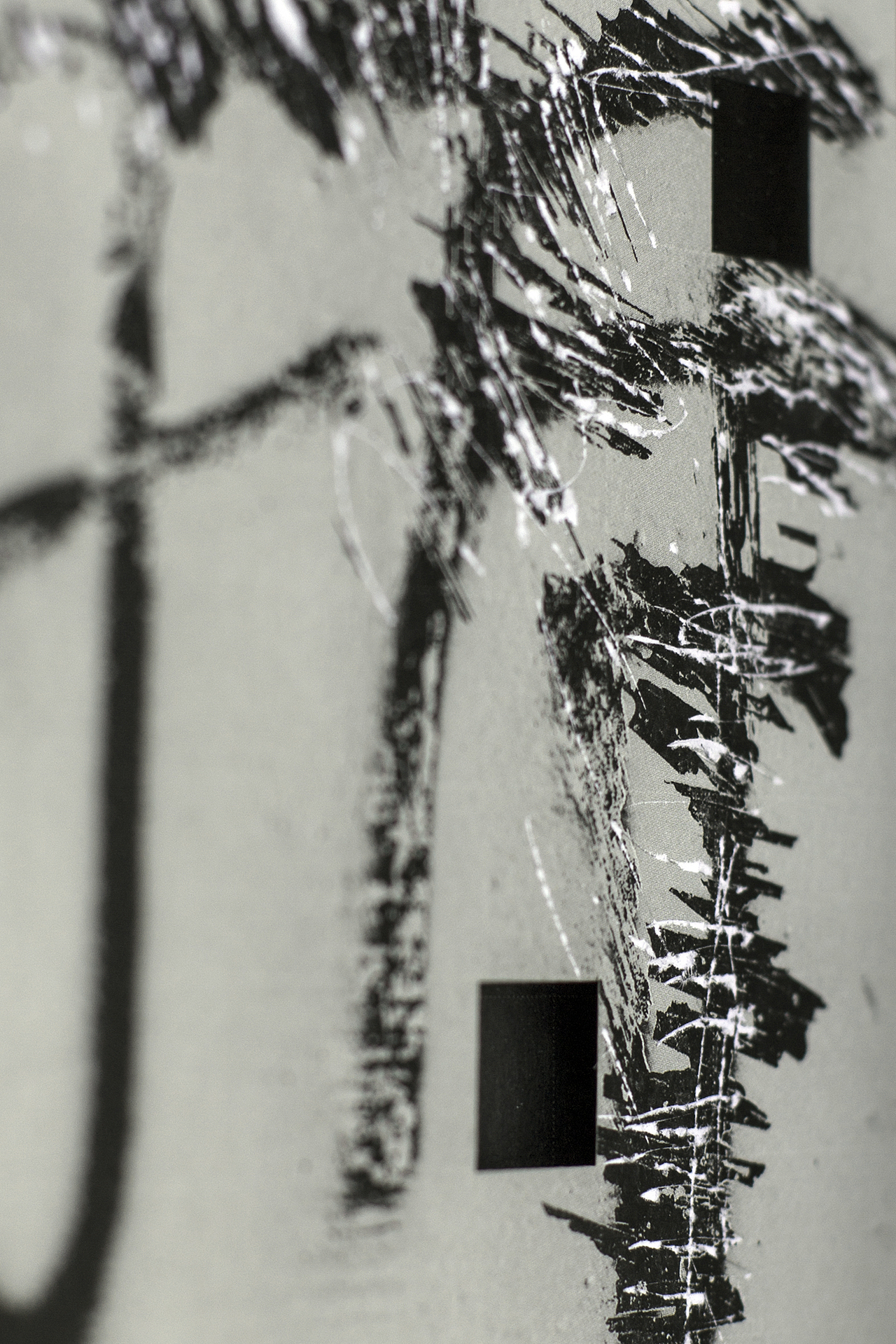 乡关何处——龙湾古建筑保护纪实