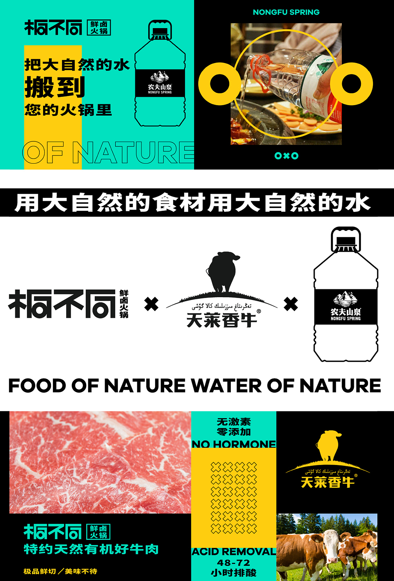 桐不同鲜卤火锅—品牌设计&空间设计