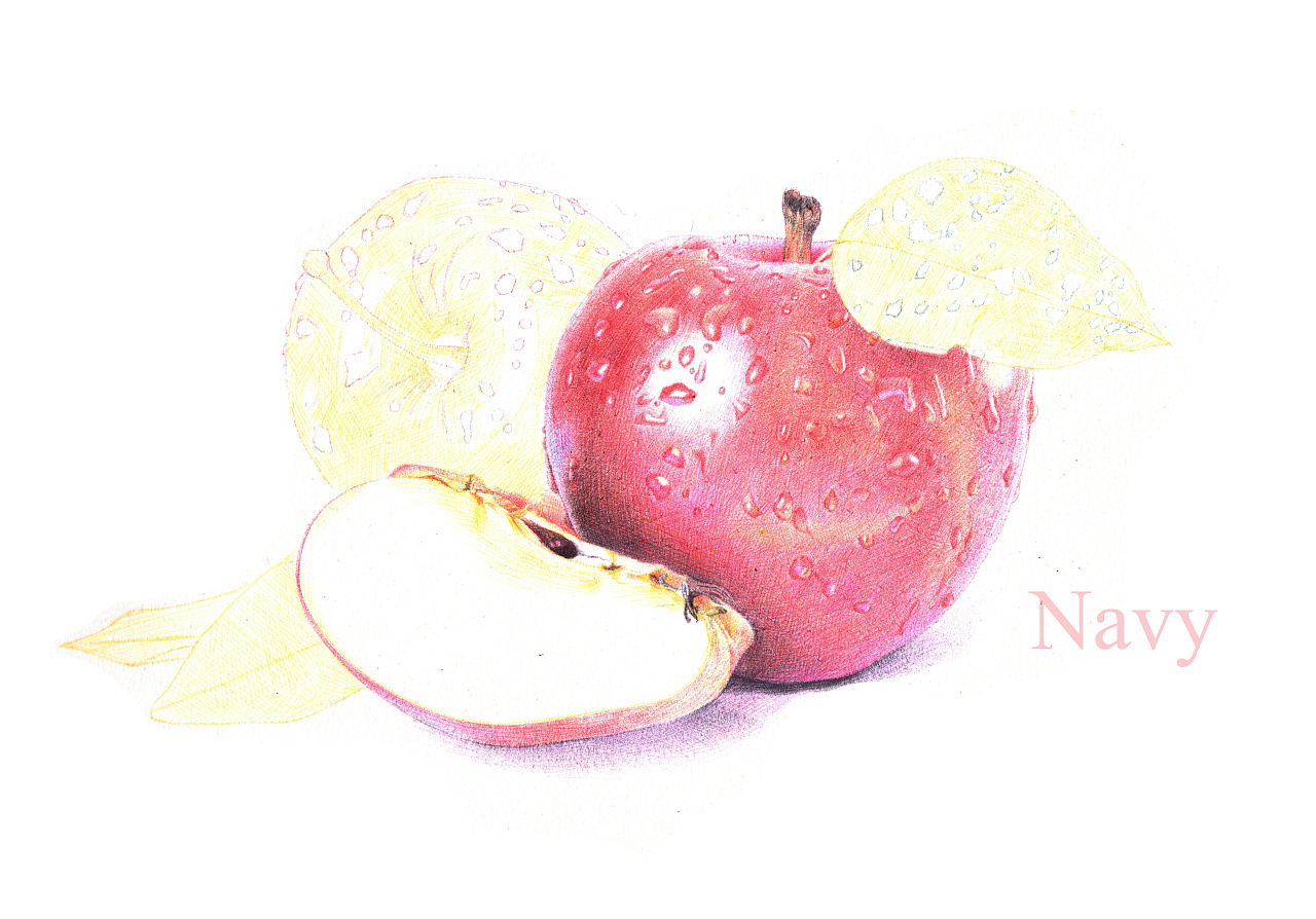 晨光黄色,桔色圆珠笔 尺寸:苹果大概比拳头小一点,哈哈 我画画其实没