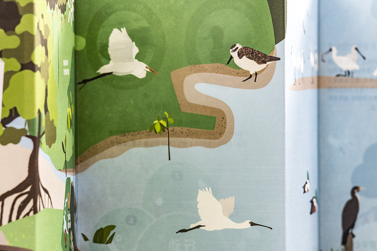 世界候鸟日-观候鸟折页及海报