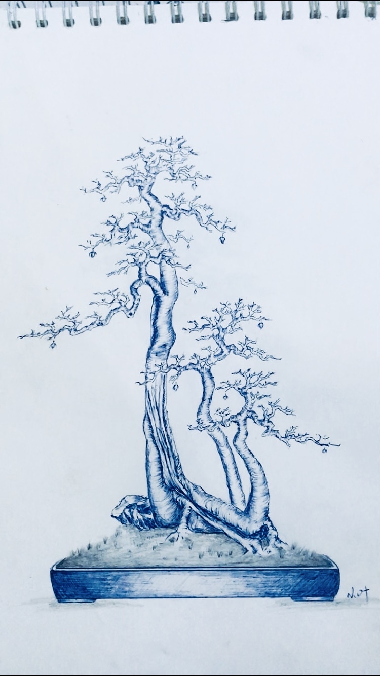 手绘盆景（图ZMjUzMzMyMDI0） - 绘画 - 站酷设计师Z75835907原创素材 - 站酷ZCOOL