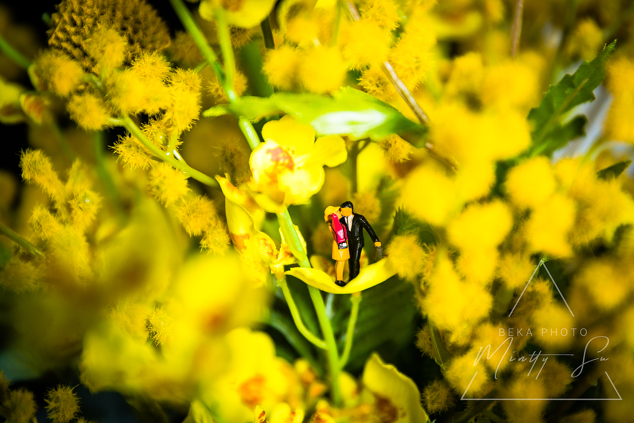 微拍（图ZMTM5NDUyNzMy） - 产品摄影 - 站酷设计师MinttySu原创素材 - 站酷ZCOOL