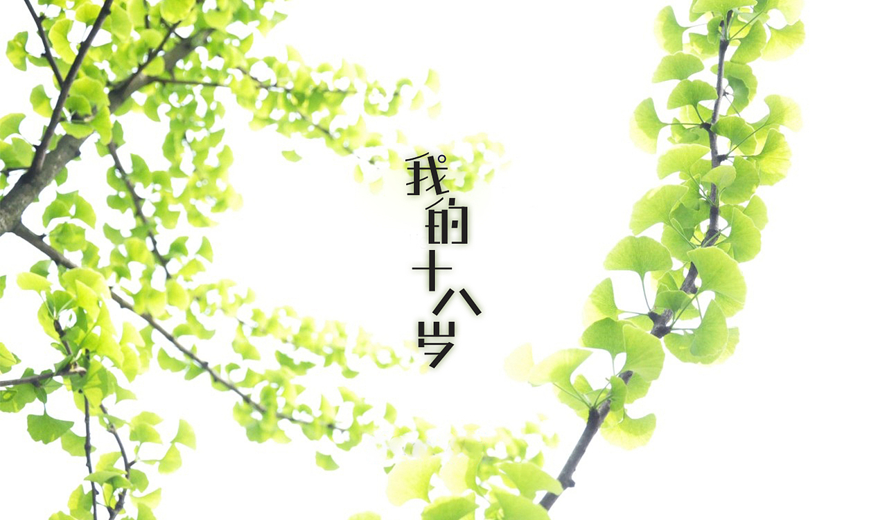 十八岁,一个花季雨季的年华,一个青春绽放的年华,一个如花的青春,一个充满活力的岁月,遗失的天真,逝去的美好岁月。十八岁的年龄,对于每个男生女生来说,正是一个如花的年龄。十八岁是一个分割线,你球鞋换成皮鞋,妳帆布鞋换成高跟鞋。你们已经摆脱了青涩,跨过年幼,奔向成熟。