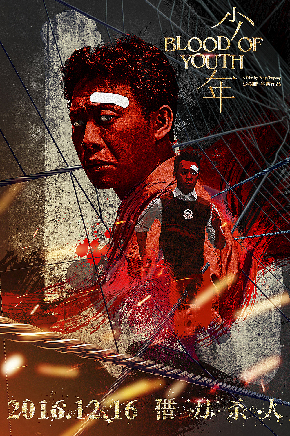 1216电影少年多媒体海报