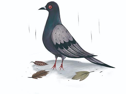 水彩、板绘描摹练习